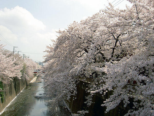 1PICT2041.jpg