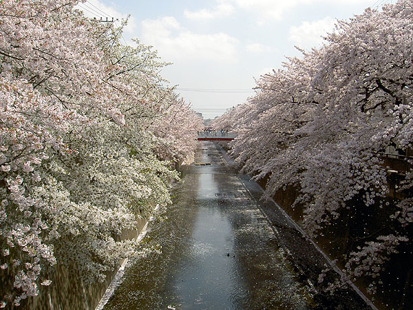 1PICT2046.jpg