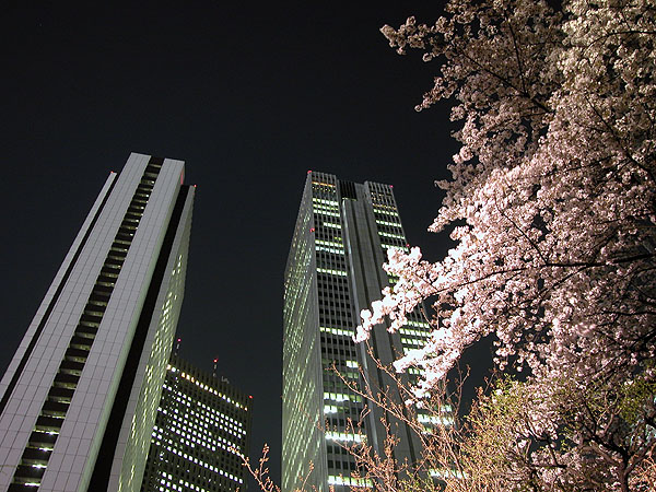 DSCN4138.jpg