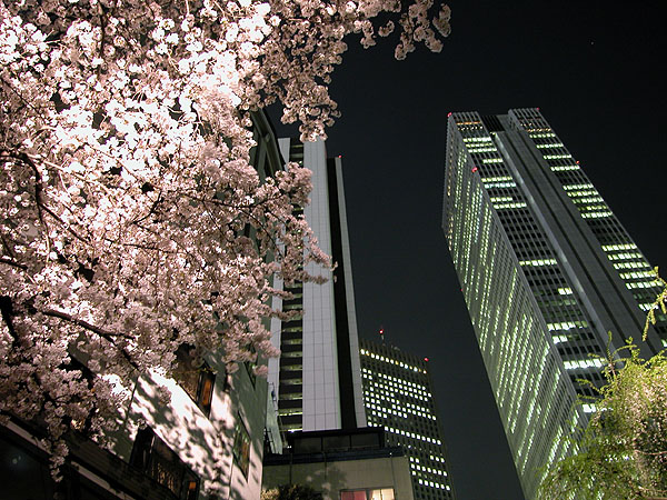 DSCN4160.jpg