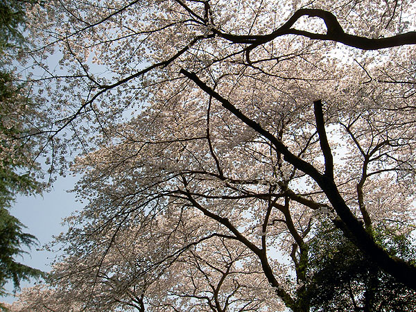 PICT2048.jpg