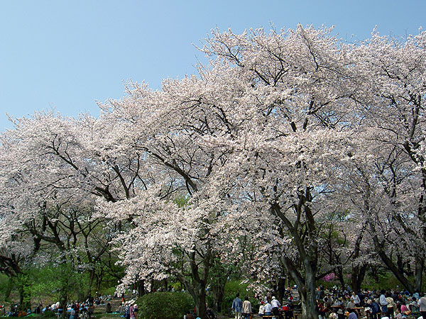 PICT2053.jpg