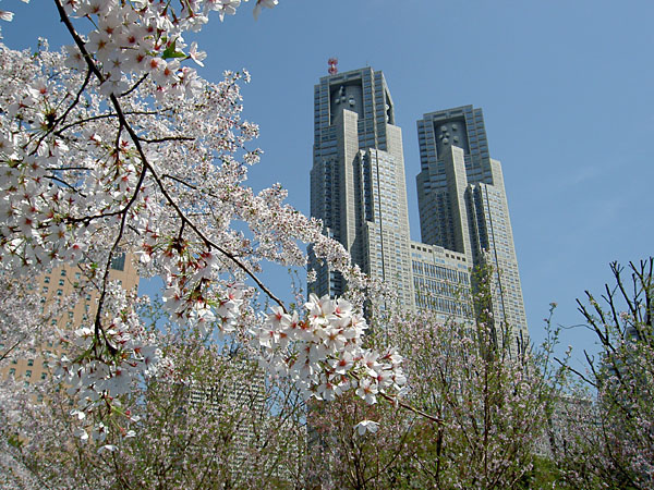 PICT2003.jpg
