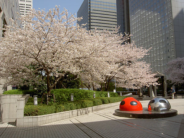 PICT2026.jpg