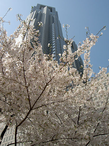 PICT2031.jpg